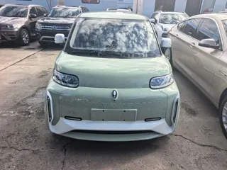 ORA White Cat 2021 купить из Китая, цена 1 112 000 ₽ — Suifenhe Auto