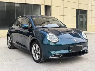 ORA Good Cat 2021 купить из Китая, цена 1 330 000 ₽ — Suifenhe Auto
