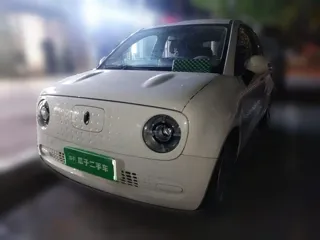 ORA Black Cat 2021 купить из Китая, цена 1 029 000 ₽ — Suifenhe Auto
