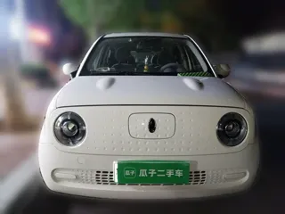 ORA Black Cat 2021 купить из Китая, цена 1 029 000 ₽ — Suifenhe Auto