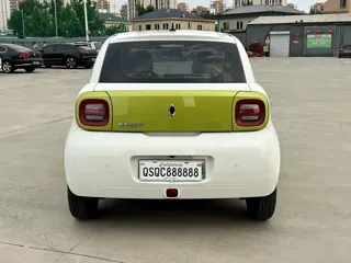 ORA Black Cat 2021 купить из Китая, цена 1 040 000 ₽ — Suifenhe Auto