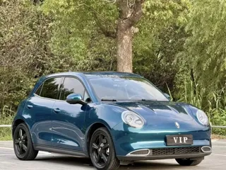 ORA Good Cat 2024 купить из Китая, цена 2 698 000 ₽ — Suifenhe Auto