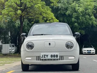 ORA Black Cat 2021 купить из Китая, цена 1 067 000 ₽ — Suifenhe Auto