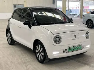ORA Black Cat 2021 купить из Китая, цена 1 040 000 ₽ — Suifenhe Auto