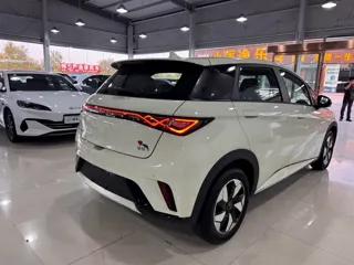 BYD Dolphin 2026 купить из Китая, цена 1 728 000 ₽ — Suifenhe Auto
