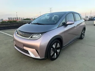 BYD Dolphin 2021 купить из Китая, цена 3 021 000 ₽ — Suifenhe Auto