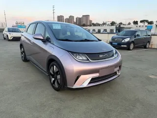 BYD Dolphin 2021 купить из Китая, цена 3 021 000 ₽ — Suifenhe Auto