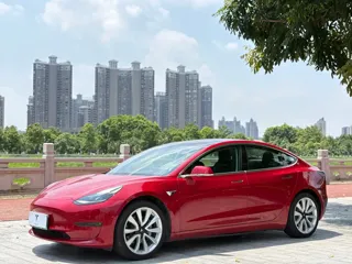 Tesla Model 3 2020 купить из Китая, цена 4 746 000 ₽ — Suifenhe Auto