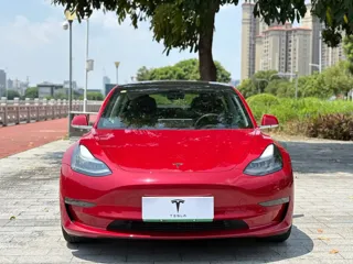 Tesla Model 3 2020 купить из Китая, цена 4 746 000 ₽ — Suifenhe Auto