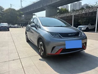 BYD Dolphin 2022 купить из Китая, цена 1 388 000 ₽ — Suifenhe Auto