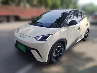 BYD Seagull 2024 купить из Китая, цена 1 232 000 ₽ — Suifenhe Auto