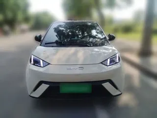 BYD Seagull 2024 купить из Китая, цена 1 232 000 ₽ — Suifenhe Auto