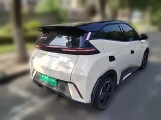 BYD Seagull 2024 купить из Китая, цена 1 232 000 ₽ — Suifenhe Auto