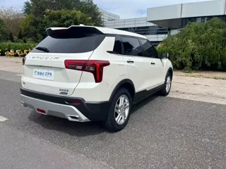Venucia T60 2021 купить из Китая, цена 1 383 000 ₽ — Suifenhe Auto