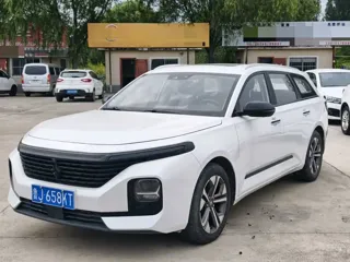 Baojun Valli 2021