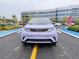 BYD Dolphin 2023 купить из Китая, цена 1 439 000 ₽ — Suifenhe Auto