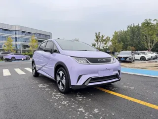 BYD Dolphin 2023 купить из Китая, цена 1 439 000 ₽ — Suifenhe Auto
