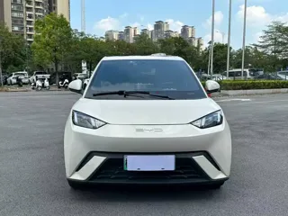 BYD Seagull 2024 купить из Китая, цена 1 256 000 ₽ — Suifenhe Auto