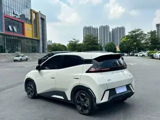 BYD Seagull 2024 купить из Китая, цена 1 256 000 ₽ — Suifenhe Auto