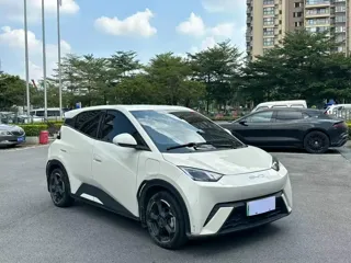BYD Seagull 2024 купить из Китая, цена 1 256 000 ₽ — Suifenhe Auto