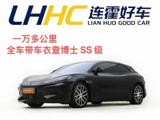 Denza Z9 2024 купить из Китая, цена 7 242 000 ₽ — Suifenhe Auto