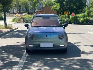 ORA Black Cat 2021 купить из Китая, цена 1 094 000 ₽ — Suifenhe Auto