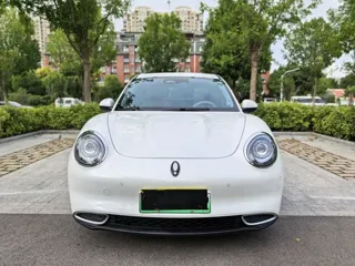 ORA Good Cat 2024 купить из Китая, цена 2 661 000 ₽ — Suifenhe Auto