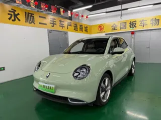 ORA Good Cat 2023 купить из Китая, цена 1 516 000 ₽ — Suifenhe Auto