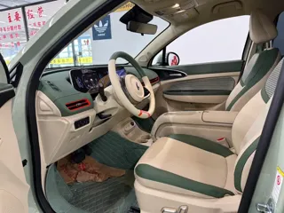 ORA Good Cat 2023 купить из Китая, цена 1 516 000 ₽ — Suifenhe Auto