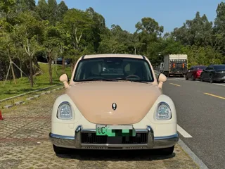 ORA Ballet Cat 2023 купить из Китая, цена 1 766 000 ₽ — Suifenhe Auto