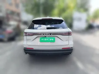 Haval Xiaolong 2025 купить из Китая, цена 3 360 000 ₽ — Suifenhe Auto