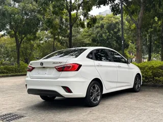 Changan DT 2020 купить из Китая, цена 1 120 000 ₽ — Suifenhe Auto