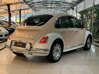 ORA Ballet Cat 2024 купить из Китая, цена 1 955 000 ₽ — Suifenhe Auto