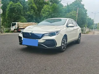 Venucia D60EV 2020