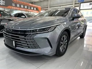 BYD Destroyer 05 2024
