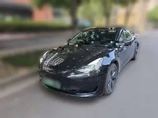 Tesla Model 3 2021 купить из Китая, цена 4 611 000 ₽ — Suifenhe Auto
