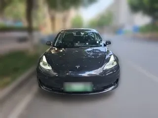 Tesla Model 3 2021 купить из Китая, цена 4 611 000 ₽ — Suifenhe Auto