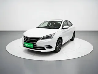 Changan DT 2019