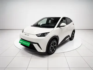 BYD Seagull 2023 купить из Китая, цена 1 276 000 ₽ — Suifenhe Auto