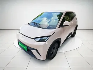 BYD Seagull 2024 купить из Китая, цена 1 254 000 ₽ — Suifenhe Auto