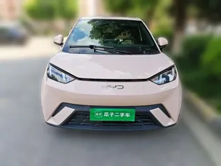 BYD Seagull 2024 купить из Китая, цена 1 254 000 ₽ — Suifenhe Auto