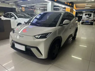 BYD Seagull 2024 купить из Китая, цена 1 214 000 ₽ — Suifenhe Auto