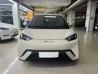 BYD Seagull 2024 купить из Китая, цена 1 214 000 ₽ — Suifenhe Auto