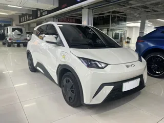 BYD Seagull 2024 купить из Китая, цена 1 214 000 ₽ — Suifenhe Auto