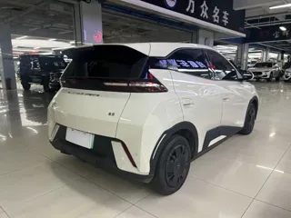 BYD Seagull 2024 купить из Китая, цена 1 214 000 ₽ — Suifenhe Auto