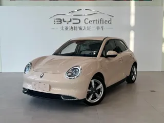 ORA Good Cat 2023 купить из Китая, цена 1 547 000 ₽ — Suifenhe Auto