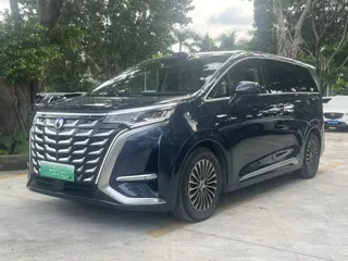 Denza Denza 2025 купить из Китая, цена 7 256 000 ₽ — Suifenhe Auto