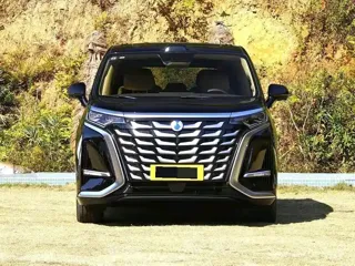 Denza Denza 2025 купить из Китая, цена 7 175 000 ₽ — Suifenhe Auto