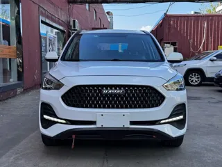 Haval M6 2020 купить из Китая, цена 1 161 000 ₽ — Suifenhe Auto