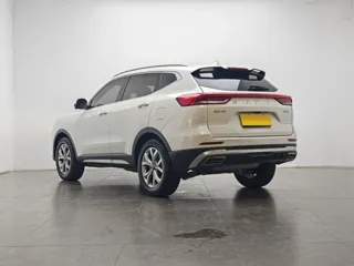 Haval H6 2022 купить из Китая, цена 1 281 000 ₽ — Suifenhe Auto